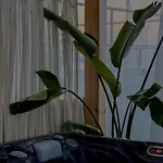 Valtes Luxurious Iii 아파트