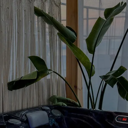 Valtes Luxurious Iii Apartament